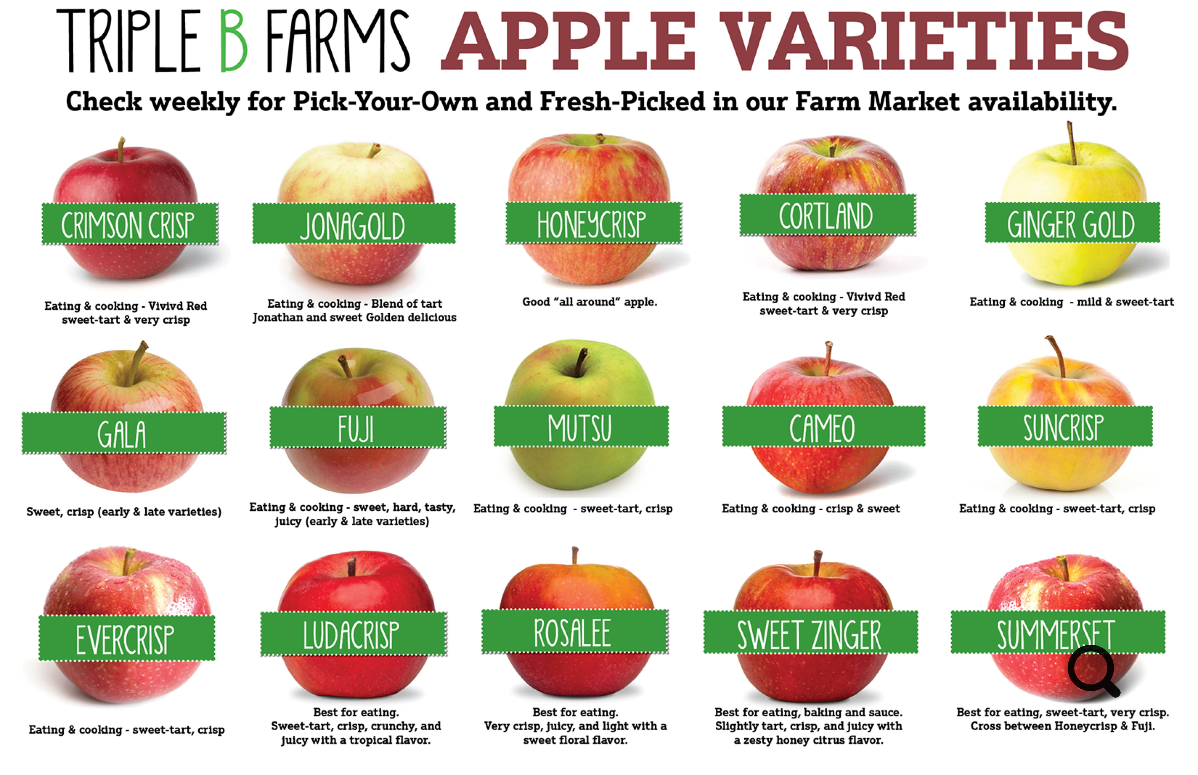 Triple B Farms Apple Varieites