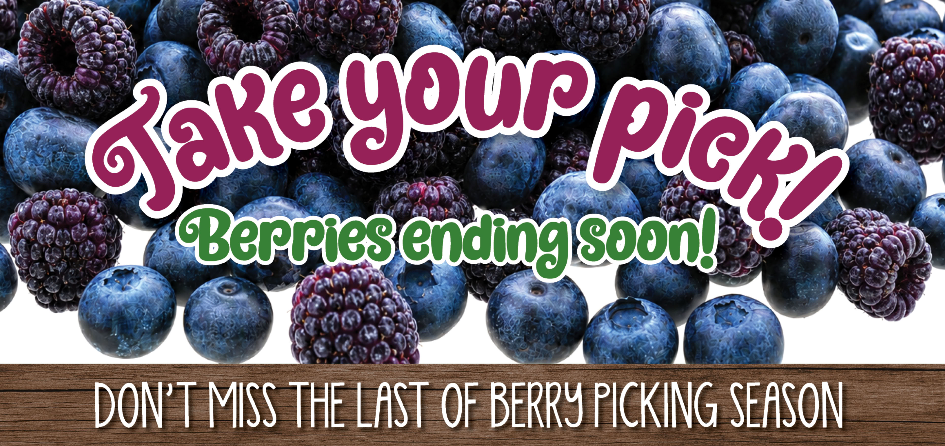 Triple B Farm  Raspberries and Blueberries ending soon